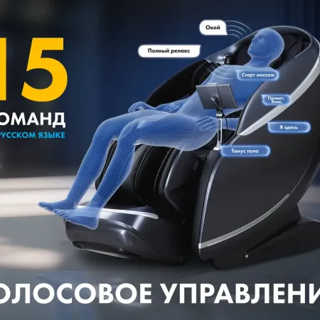 Массажное кресло FUJIMO GURU2 F800 Коричневый